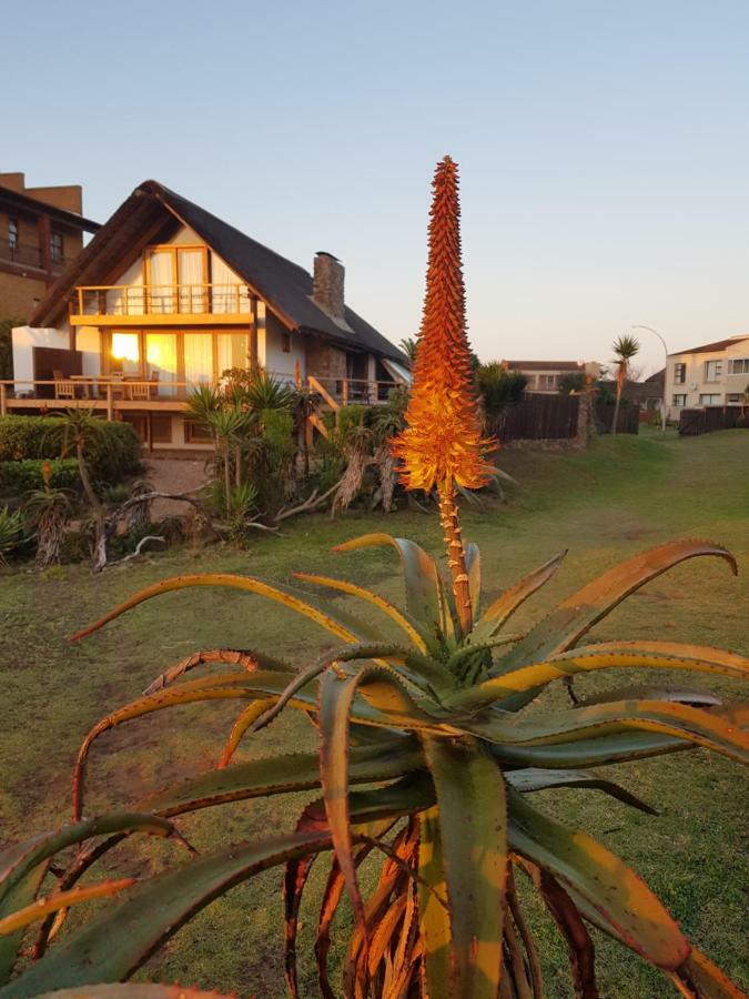 Dreamland Beach House & Studios At Supertubes Jeffreys Bay Eksteriør bilde