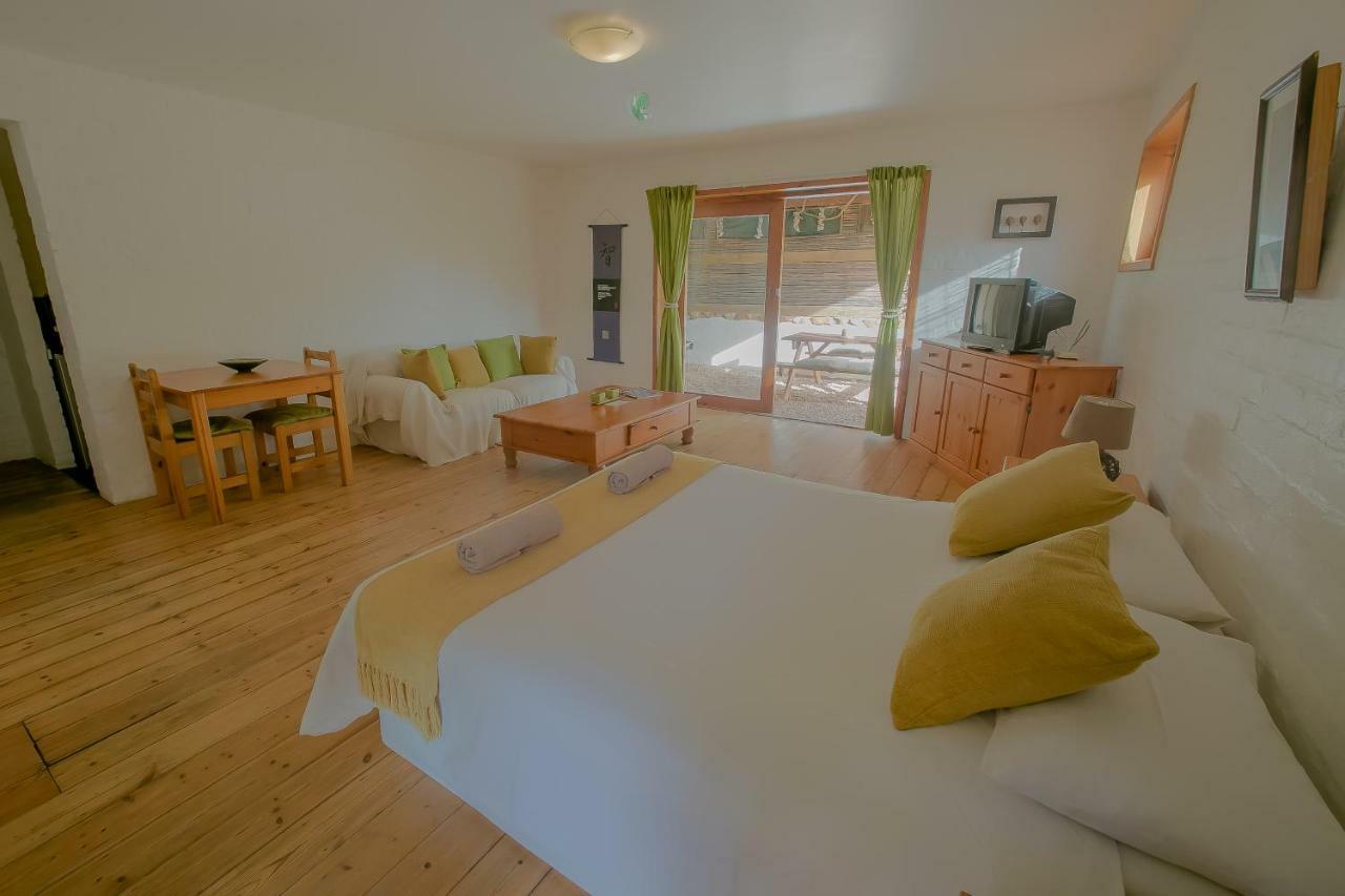 Dreamland Beach House & Studios At Supertubes Jeffreys Bay Eksteriør bilde
